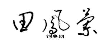 梁锦英田凤兰草书个性签名怎么写