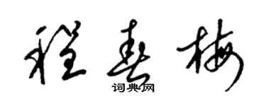 梁锦英程春梅草书个性签名怎么写