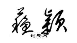 梁锦英苏颖草书个性签名怎么写