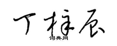 梁锦英丁梓辰草书个性签名怎么写