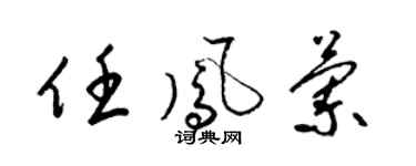 梁锦英任凤兰草书个性签名怎么写