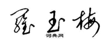 梁锦英罗玉梅草书个性签名怎么写