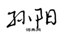 曾庆福孙阳行书个性签名怎么写