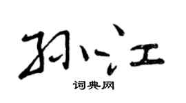 曾庆福孙江行书个性签名怎么写