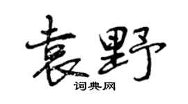 曾庆福袁野行书个性签名怎么写