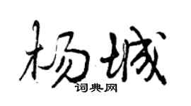 曾庆福杨城行书个性签名怎么写