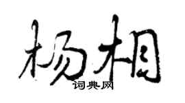 曾庆福杨相行书个性签名怎么写