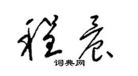 梁锦英程晨草书个性签名怎么写