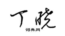 梁锦英丁晓草书个性签名怎么写