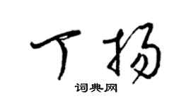 梁锦英丁扬草书个性签名怎么写