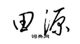 梁锦英田源草书个性签名怎么写