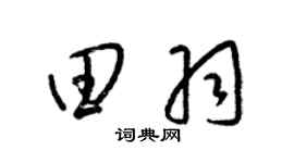 梁锦英田羽草书个性签名怎么写