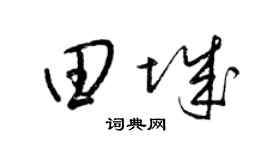 梁锦英田城草书个性签名怎么写