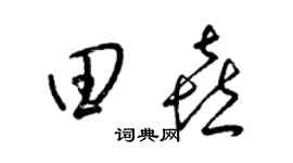 梁锦英田喜草书个性签名怎么写