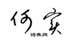 梁锦英何实草书个性签名怎么写