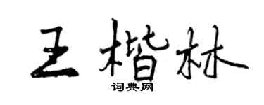 曾庆福王楷林行书个性签名怎么写