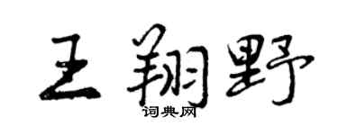 曾庆福王翔野行书个性签名怎么写