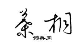 梁锦英叶桐草书个性签名怎么写