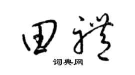 梁锦英田礼草书个性签名怎么写