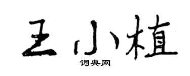 曾庆福王小植行书个性签名怎么写