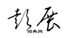 梁锦英彭展草书个性签名怎么写