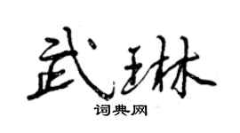 曾庆福武琳行书个性签名怎么写