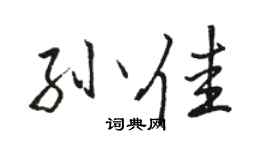 骆恒光孙佳行书个性签名怎么写