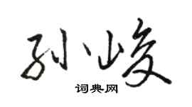 骆恒光孙峻行书个性签名怎么写