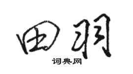 骆恒光田羽行书个性签名怎么写