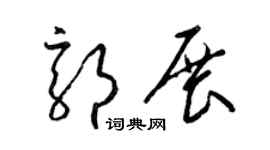 梁锦英郭展草书个性签名怎么写