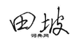 骆恒光田坡行书个性签名怎么写