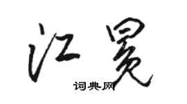 骆恒光江冕行书个性签名怎么写