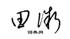 梁锦英田微草书个性签名怎么写