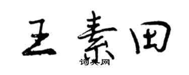 曾庆福王素田行书个性签名怎么写