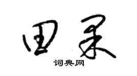 梁锦英田果草书个性签名怎么写