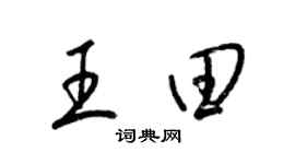 梁锦英王田草书个性签名怎么写