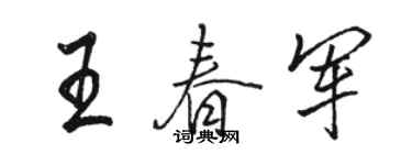 骆恒光王春军行书个性签名怎么写