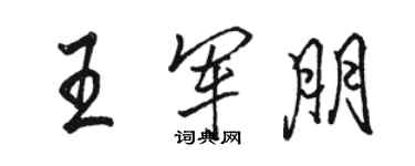 骆恒光王军朋行书个性签名怎么写
