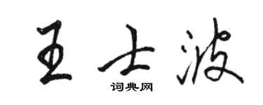 骆恒光王士波行书个性签名怎么写