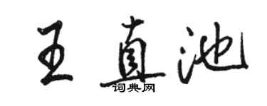 骆恒光王直池行书个性签名怎么写