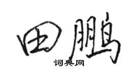 骆恒光田鹏行书个性签名怎么写