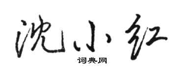 骆恒光沈小红行书个性签名怎么写