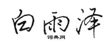 骆恒光白雨泽行书个性签名怎么写