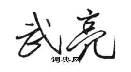 骆恒光武亮行书个性签名怎么写