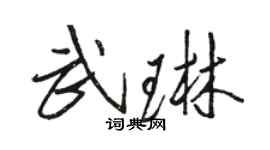 骆恒光武琳行书个性签名怎么写