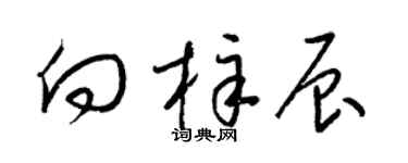 梁锦英向梓辰草书个性签名怎么写