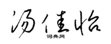 梁锦英汤佳怡草书个性签名怎么写