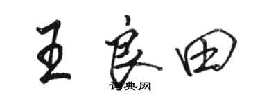 骆恒光王良田行书个性签名怎么写