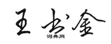 骆恒光王书金行书个性签名怎么写