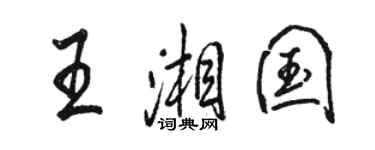 骆恒光王湘国行书个性签名怎么写